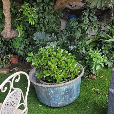 Su Cunventu Bed & Breakfast Muravera