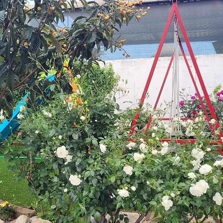 Su Cunventu مورافيرا