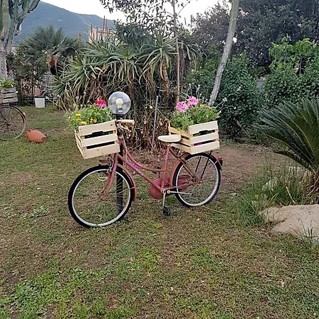 Su Cunventu מוראברה