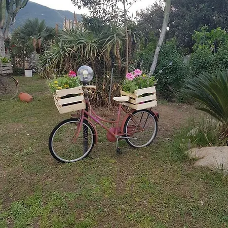 فندق مبيت وإفطار Su Cunventu