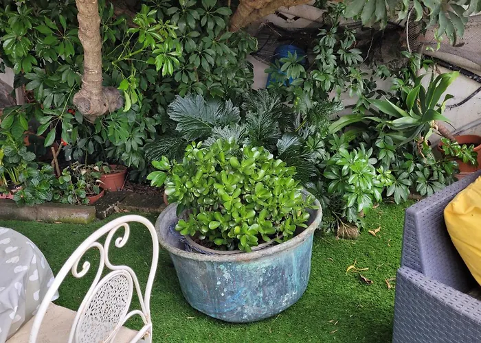 Su Cunventu 住宿加早餐酒店 穆拉沃拉